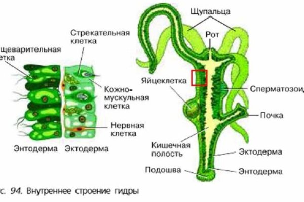 Сайт кракен не работает почему