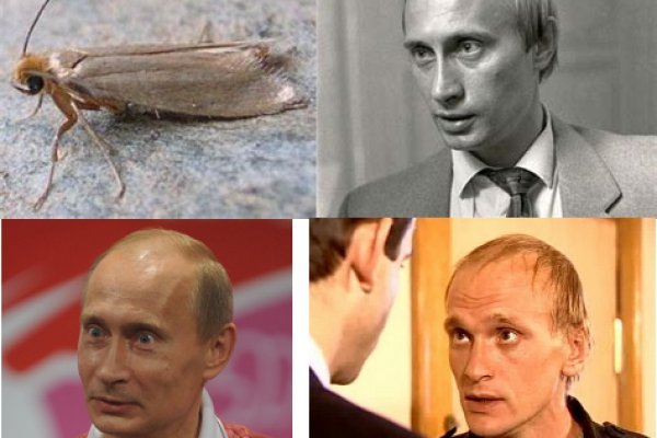 Ссылка на сайт кракен в тор