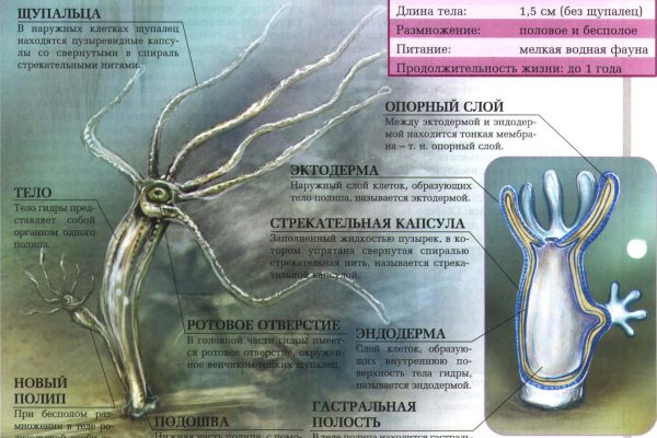 Кракен это даркнет