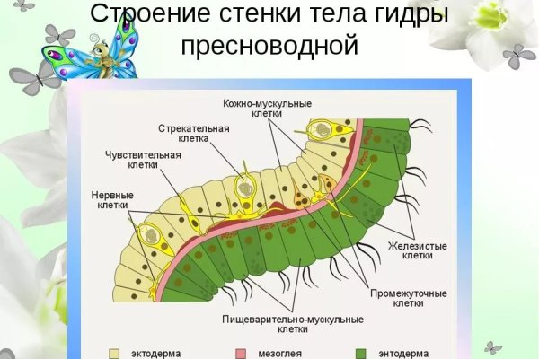 Актуальная ссылка на кракен kraken014 com