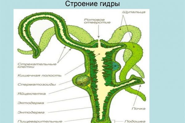 Кракен сайт зеркало рабочее на сегодня